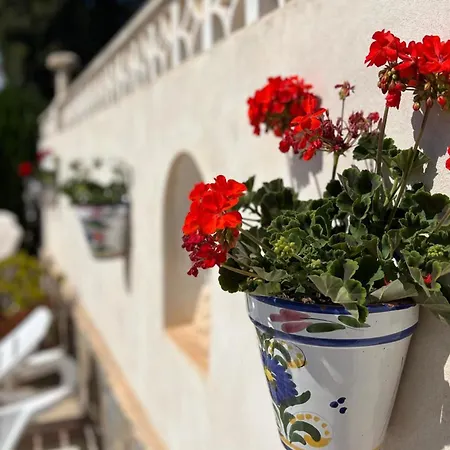 Villa Authentic Spanish With Private Pool And Garden Mutxamel (Muchamiel)